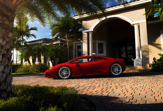 ����������, ��������, �������