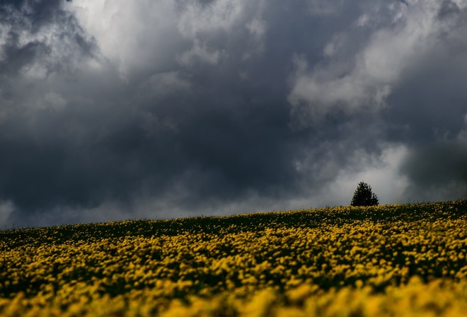 �������, ��������