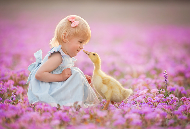 , , , Lisa Holloway, , , , 