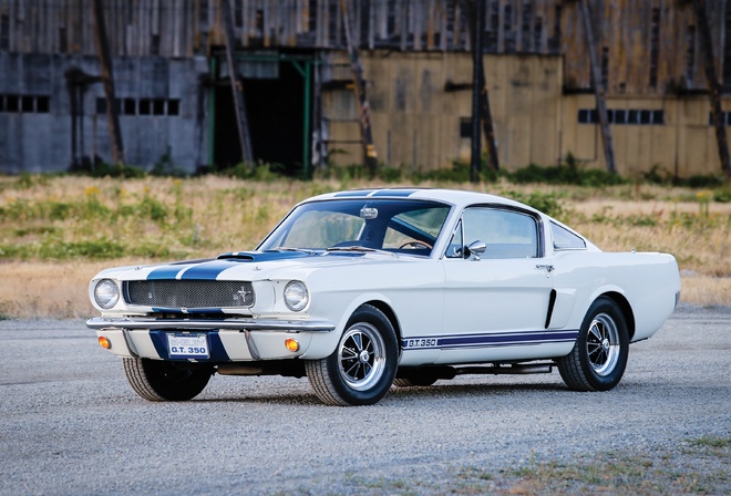 shelby, ford, gt350, , 