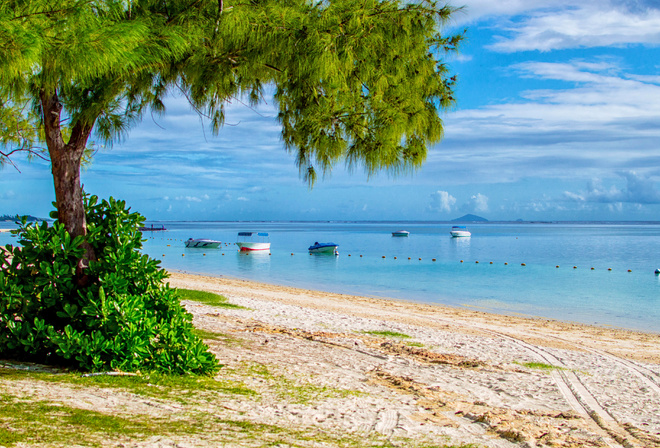 trees, coast, beach, sand, sea, boats, the sun, the sky, horizon, clouds