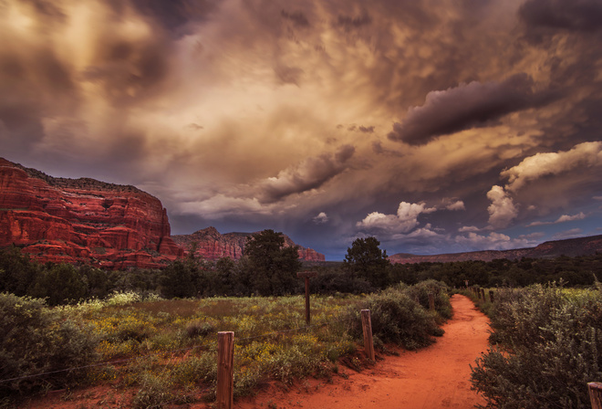 canyon, nature, plants, landscape, desert, road