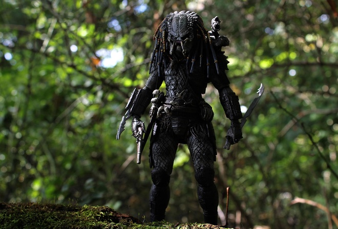 Predator, 