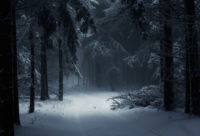Зима, лес