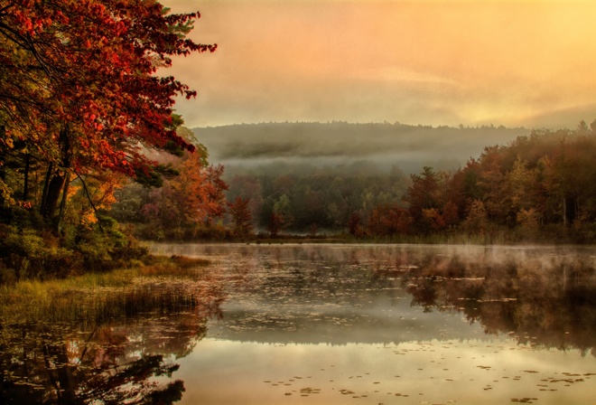 туман, отражение, зеркало, озеро, утро, осень, природа