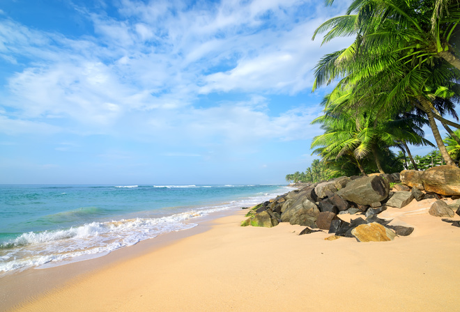 пляж, песок, тропики, камни, пальмы, свежий ветер