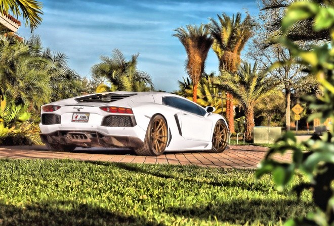 Lamborghini, Aventador, Белый, HDR