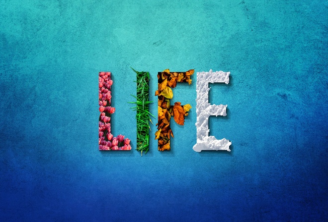 , LIFE, , 