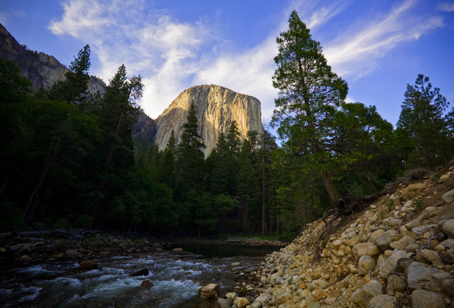 Forest Stream, Rock, Sky, Cloud, Tree, Nature