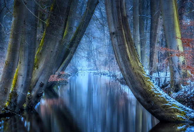 Jan - Herman Visser, , , , , , , , 