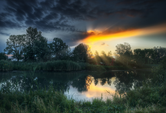 trees, house, pond, dawn, The sun