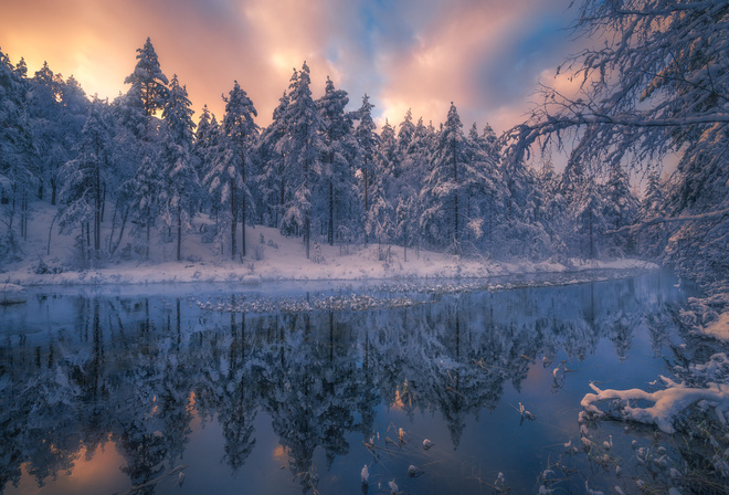 , , , , , , , , Ole Henrik Skjelstad