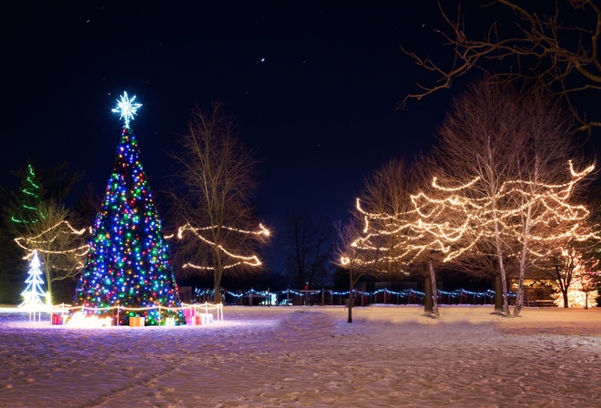 парк, елка, гирлянды, огни, ночь, праздник, новый год