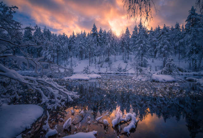 Ole Henrik Skjelstad, , , , , , , , 