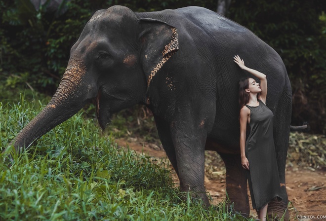 elephant, animals, model, women outdoors, Ivan Chinilov