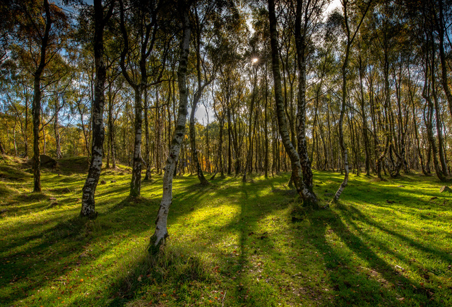 , , , , Bole Hill Derbyshire, , , 