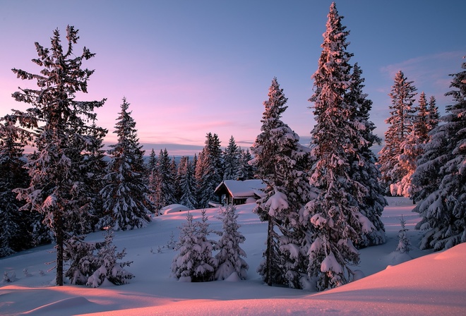 , , , , , , Allan Pedersen, , , 