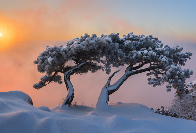 , , , , , , , , , , jae youn Ryu