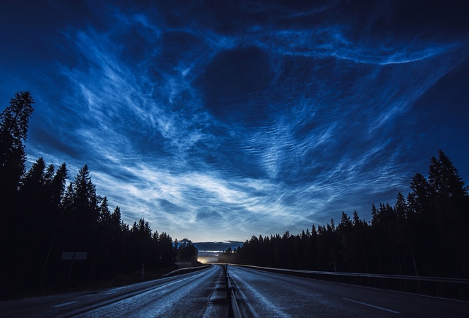 , , , , road, night, forest, sky