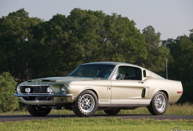 ford, shelby, GT500, 1968