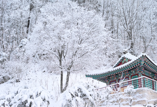 храм, Япония, зима, снег, деревья