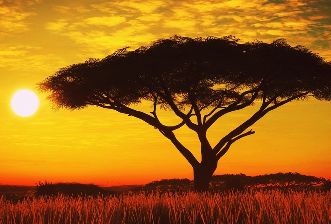 Serengeti, Sunset