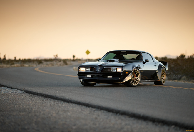 pontiac, firebird, 1969, trans am