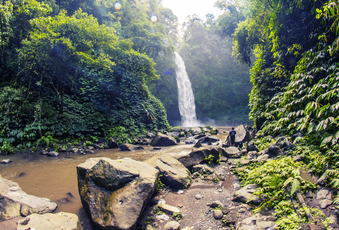 Индонезия, Тропики, Водопад, Камни, Bali, Скала, Кусты, Природа