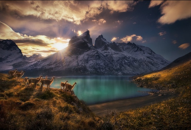   ,  ,        TorresdelPaine 
