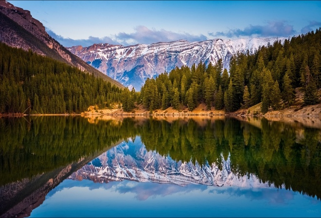 landscape, Pine Trees, Lake