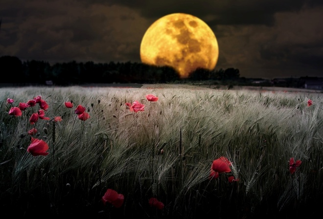 Landscape Nature Wallpapers, nature, Moon