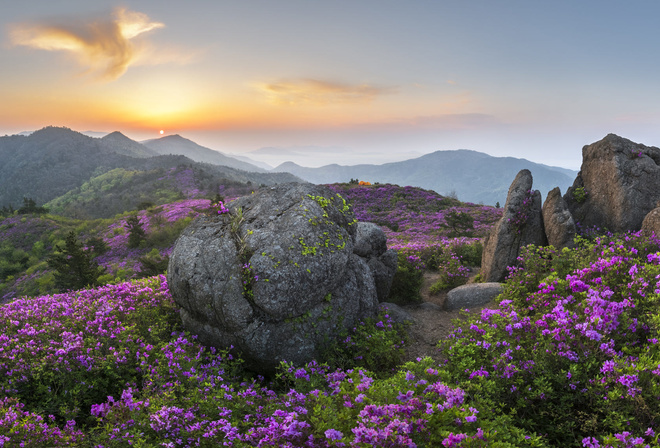 , , , , , , , , , , , , , , , jae youn Ryu