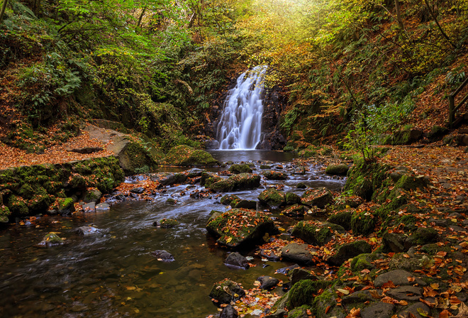 природа, осень, Северная Ирландия, Barrie Lathwell, водопад, камни, мох, листья