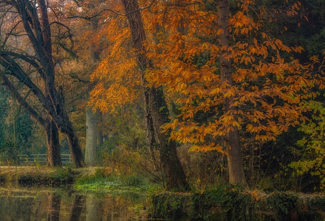 осень, деревья, пейзаж, природа, пруд, парк, канал, Голландия, Jan-Herman Visser