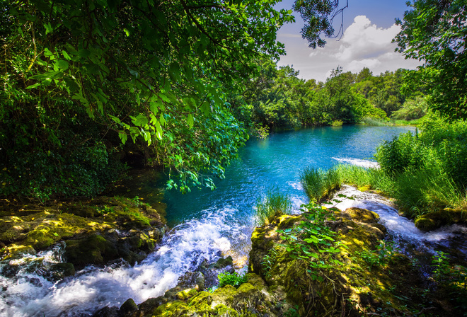Krka River, forest, river, beautiful landscape, Krka National Park, Croatia