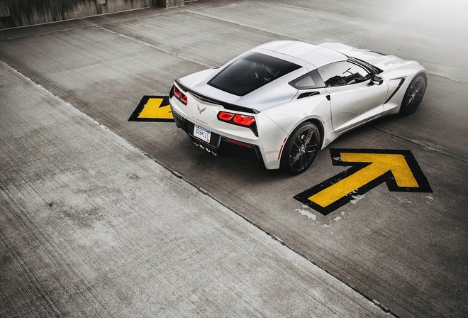 �������, ����, �������