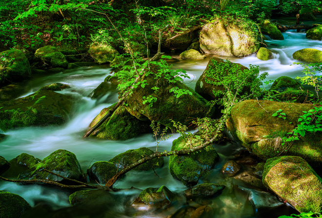 , , Oirase Mountain Stream, Towada, , , , 