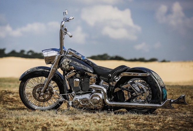 Harley-Davidson, Thunderbike, El Gringo, custom, motorcycle