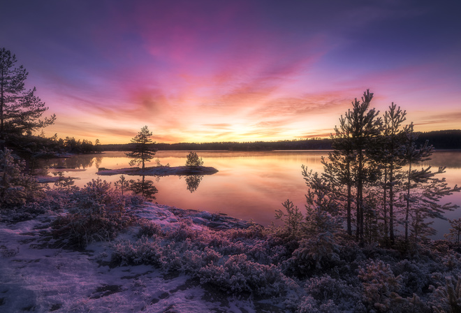 Ringerike, clouds, Norway, trees