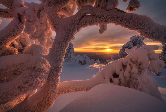 зима, солнце, лучи, снег, деревья, пейзаж, природа, Заполярье, Андрей Базанов
