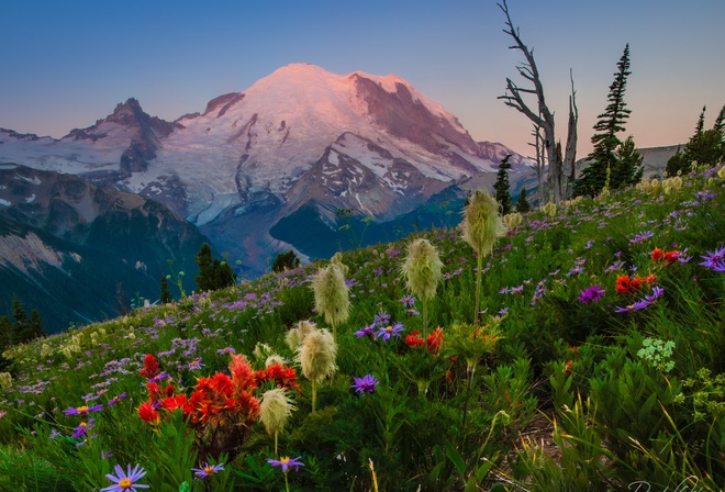 , , , , , , , Mount Rainier National Park,   -, Mount Rainier,  , Washington State, Cascade Range,  ,  