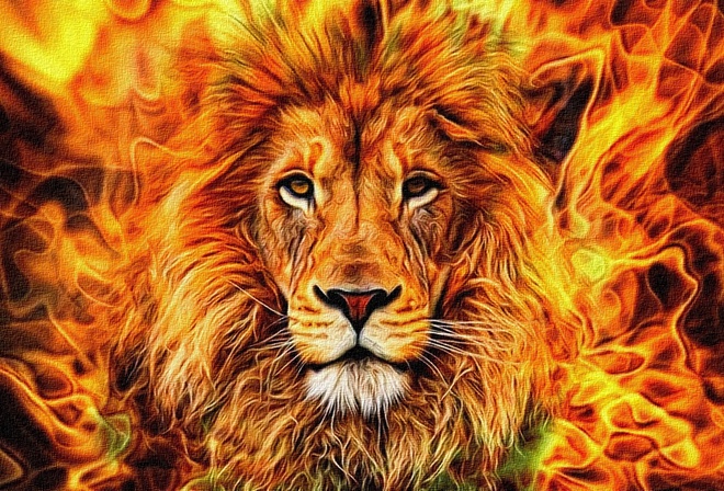 ���, ���, Lion