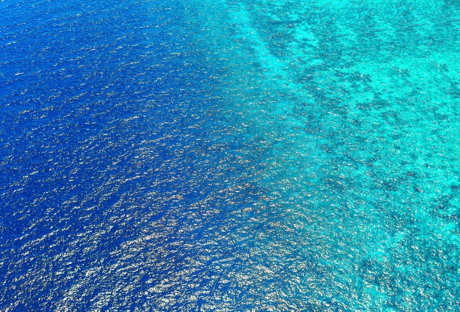 Birds View, Sea