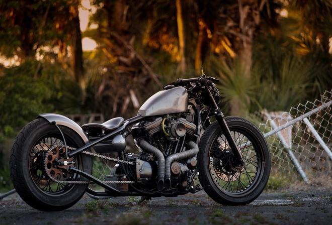 harley davidson, custom, thunderbike