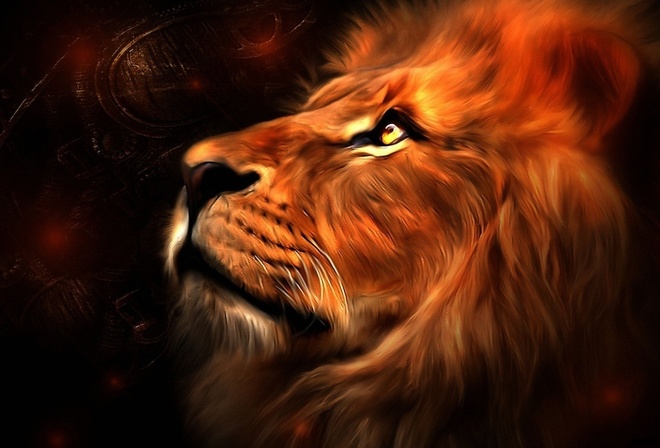 ���, ���