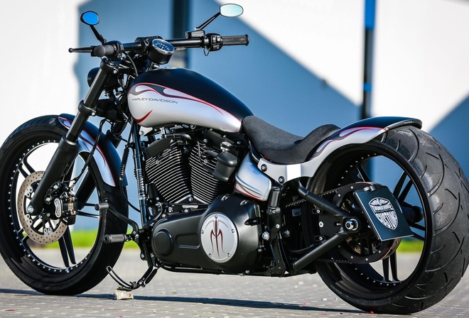 harley davidson, custom, thunderbike