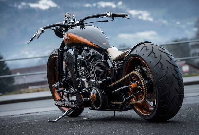 harley davidson, custom, thunderbike