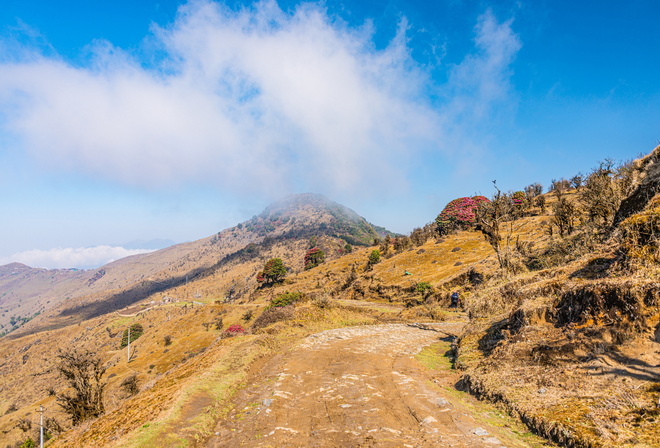 , , Singalila, National Park, West Bengal, , , , 