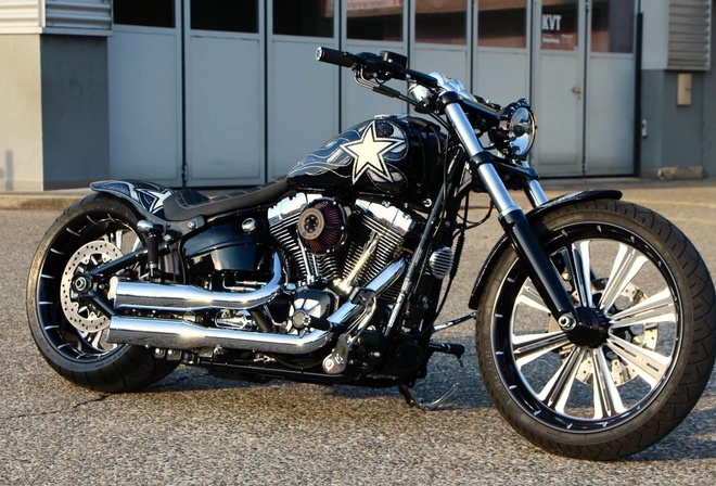 harley davidson, custom, thunderbike