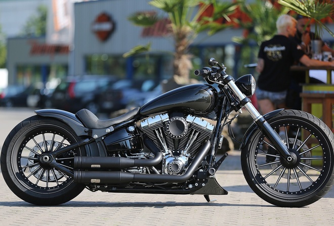 harley davidson, custom, thunderbike